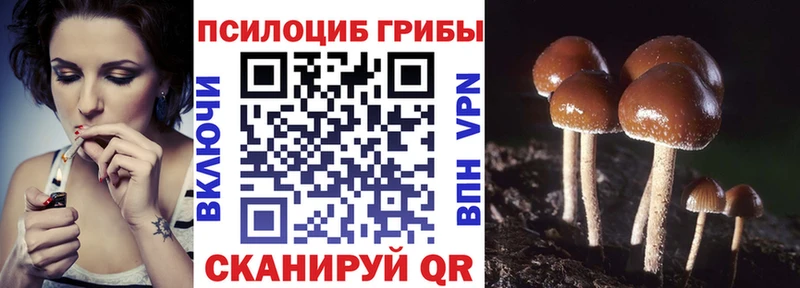 Псилоцибиновые грибы Psilocybe закладки гидра сайт Шарья